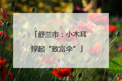 舒兰市：小木耳撑起“致富伞”