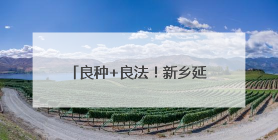 良种+良法！新乡延津县试验田小麦刷新黄淮麦区高产记录