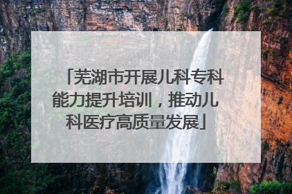 芜湖市开展儿科专科能力提升培训，推动儿科医疗高质量发展