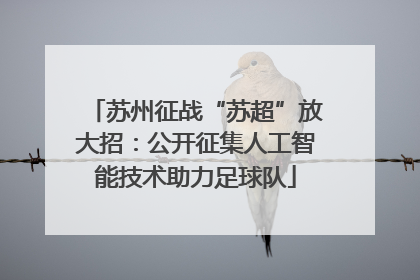 苏州征战“苏超”放大招：公开征集人工智能技术助力足球队
