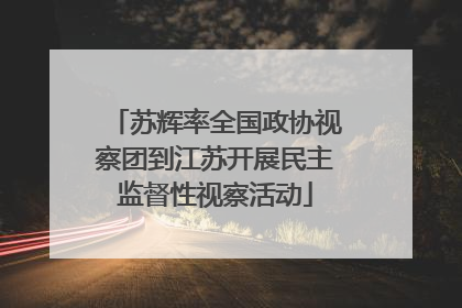 苏辉率全国政协视察团到江苏开展民主监督性视察活动
