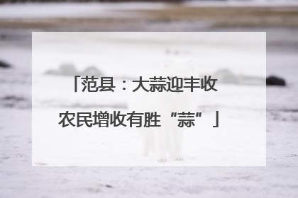 范县：大蒜迎丰收 农民增收有胜“蒜”