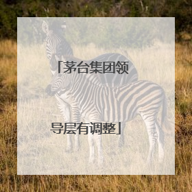茅台集团领导层有调整