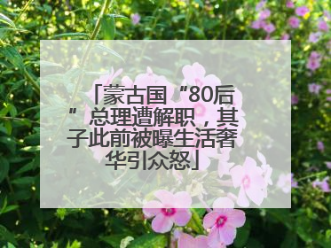 蒙古国“80后”总理遭解职，其子此前被曝生活奢华引众怒