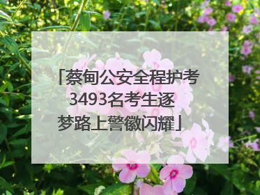 蔡甸公安全程护考 3493名考生逐梦路上警徽闪耀