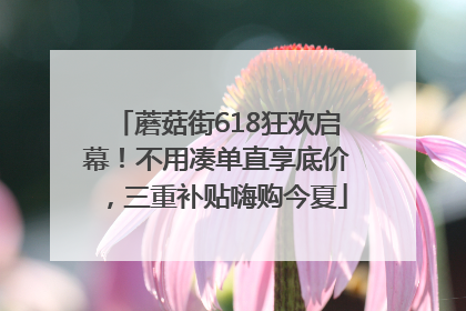 蘑菇街618狂欢启幕！不用凑单直享底价，三重补贴嗨购今夏