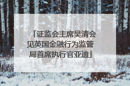证监会主席吴清会见英国金融行为监管局首席执行官亚迪