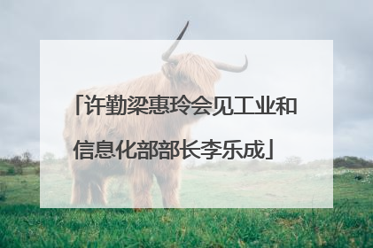 许勤梁惠玲会见工业和信息化部部长李乐成