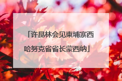 许昆林会见柬埔寨西哈努克省省长蒙西纳