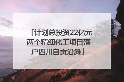 计划总投资22亿元 两个精细化工项目落户四川自贡沿滩