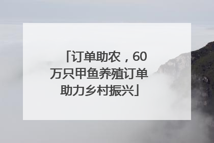 订单助农，60万只甲鱼养殖订单助力乡村振兴