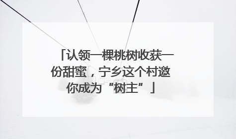 认领一棵桃树收获一份甜蜜，宁乡这个村邀你成为“树主”