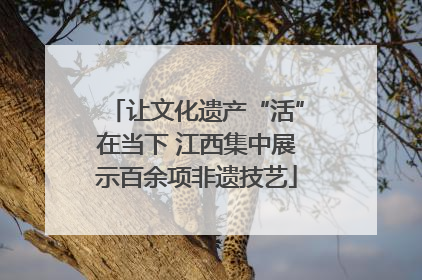 让文化遗产“活”在当下 江西集中展示百余项非遗技艺