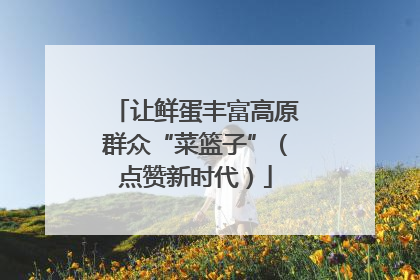 让鲜蛋丰富高原群众“菜篮子”（点赞新时代）