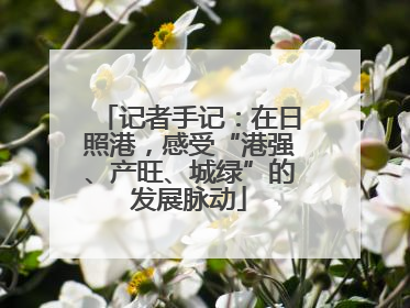 记者手记：在日照港，感受“港强、产旺、城绿”的发展脉动