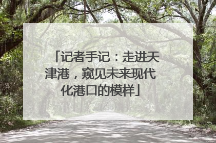 记者手记：走进天津港，窥见未来现代化港口的模样