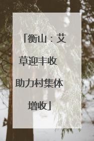 衡山：艾草迎丰收 助力村集体增收