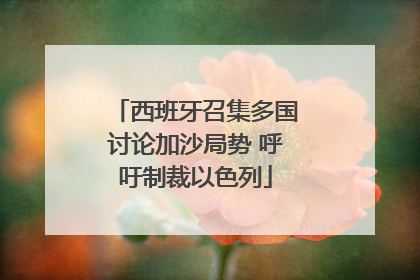 西班牙召集多国讨论加沙局势 呼吁制裁以色列