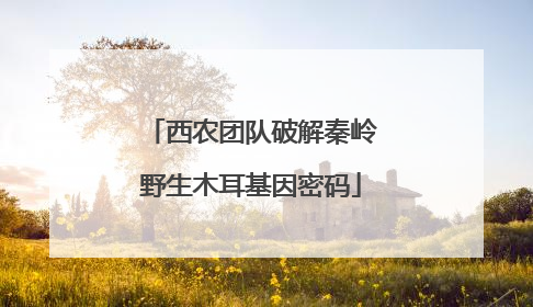 西农团队破解秦岭野生木耳基因密码
