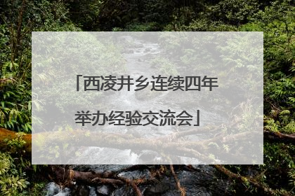 西凌井乡连续四年举办经验交流会