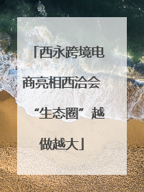 西永跨境电商亮相西洽会“生态圈”越做越大