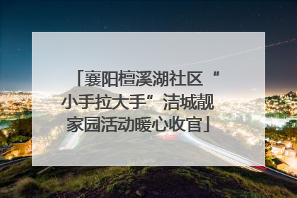 襄阳檀溪湖社区“小手拉大手”洁城靓家园活动暖心收官