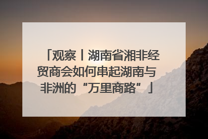 观察丨湖南省湘非经贸商会如何串起湖南与非洲的“万里商路”