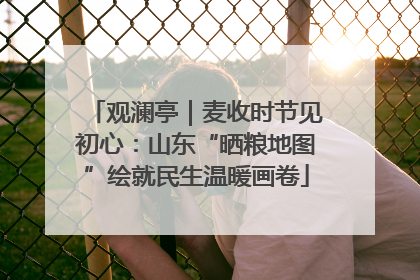 观澜亭｜麦收时节见初心：山东“晒粮地图”绘就民生温暖画卷