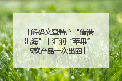 解码文登特产“借港出海”丨汇润“苹果”5款产品一次出圈