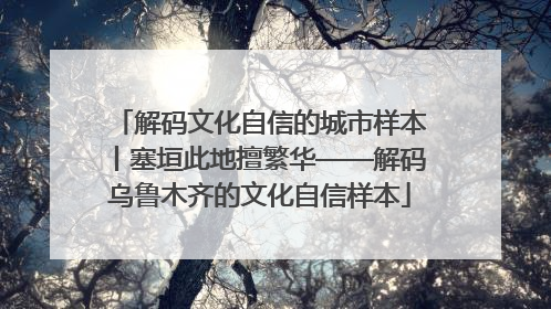 解码文化自信的城市样本丨塞垣此地擅繁华——解码乌鲁木齐的文化自信样本