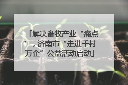 解决畜牧产业“痛点”，济南市“走进千村万企”公益活动启动