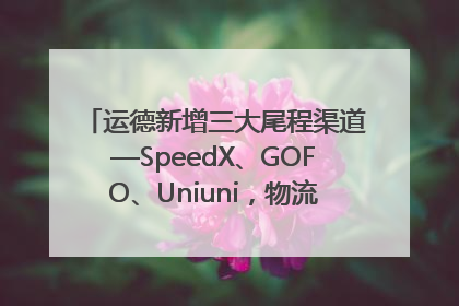 运德新增三大尾程渠道—SpeedX、GOFO、Uniuni，物流效率跃升50%！
