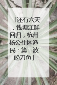 还有六天，钱塘江鲜回归，杭州杨公社区渔民：第一波盼刀鱼