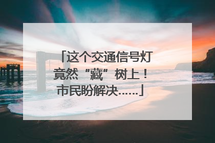 这个交通信号灯竟然“藏”树上！市民盼解决……