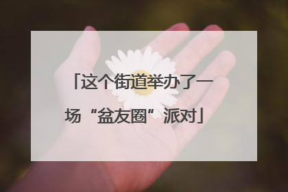 这个街道举办了一场“盆友圈”派对