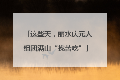 这些天，丽水庆元人组团满山“找苦吃”