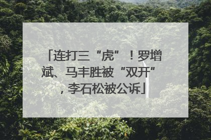 连打三“虎”！罗增斌、马丰胜被“双开”，李石松被公诉