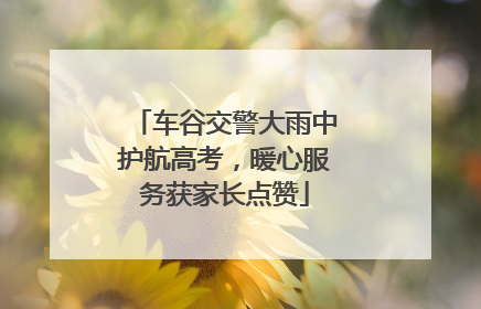 车谷交警大雨中护航高考，暖心服务获家长点赞