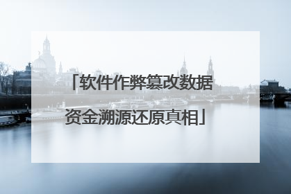 软件作弊篡改数据 资金溯源还原真相