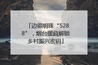 边疆明珠“5288”，烟台援藏解锁乡村振兴密码