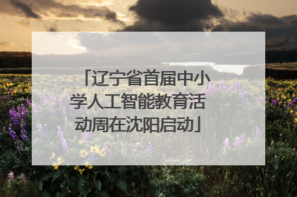 辽宁省首届中小学人工智能教育活动周在沈阳启动