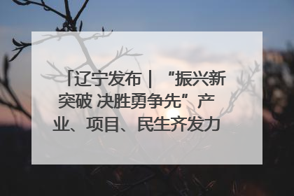 辽宁发布｜“振兴新突破 决胜勇争先”产业、项目、民生齐发力 葫芦岛按下决胜之年“加速键”