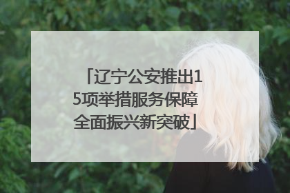 辽宁公安推出15项举措服务保障全面振兴新突破