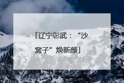 辽宁彰武：“沙窝子”焕新颜