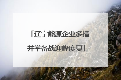 辽宁能源企业多措并举备战迎峰度夏