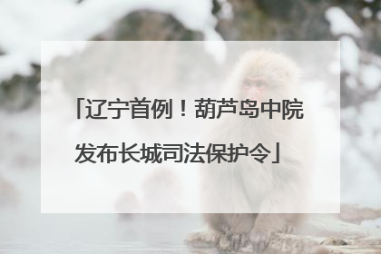 辽宁首例！葫芦岛中院发布长城司法保护令