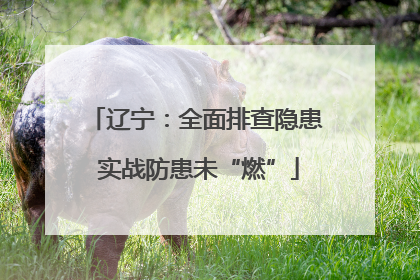 辽宁：全面排查隐患 实战防患未“燃”