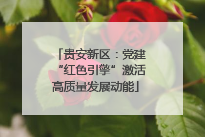贵安新区：党建“红色引擎”激活高质量发展动能