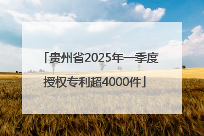 贵州省2025年一季度授权专利超4000件