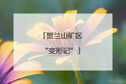 贺兰山矿区“变形记”